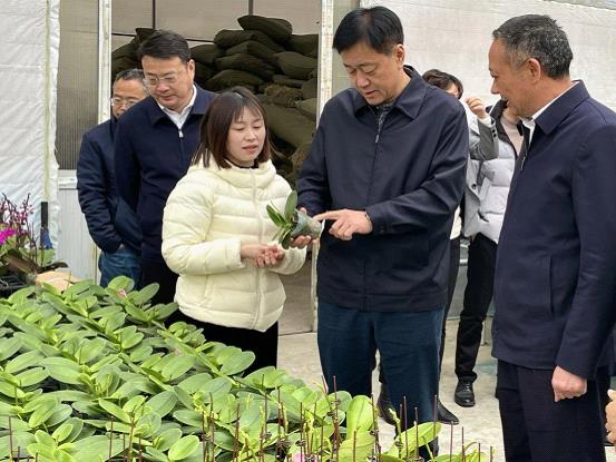 调研现场.jpg